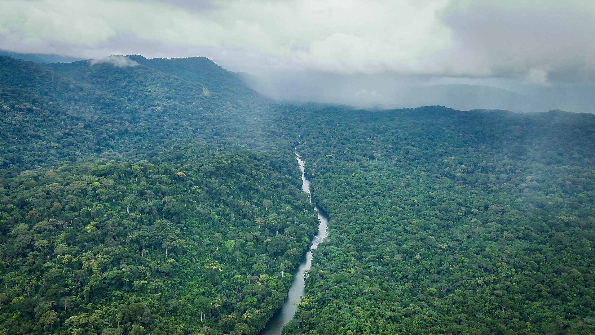The Oyi River in the Okwangwo Division of Cross River National Park, Nigeria, in 2023.