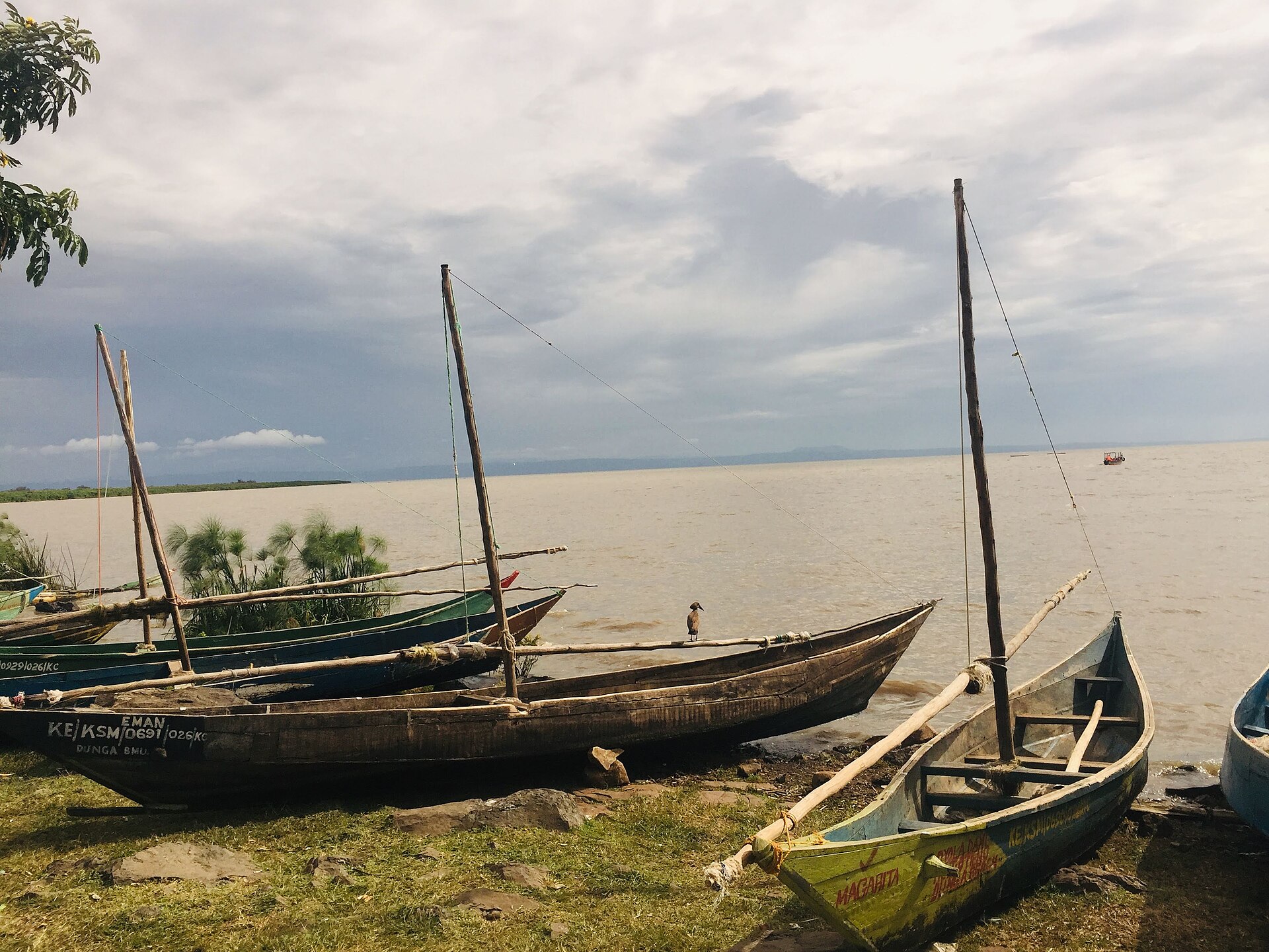 Fishing boats at Dunga Beach, Kisumu, on Lake Victoria.