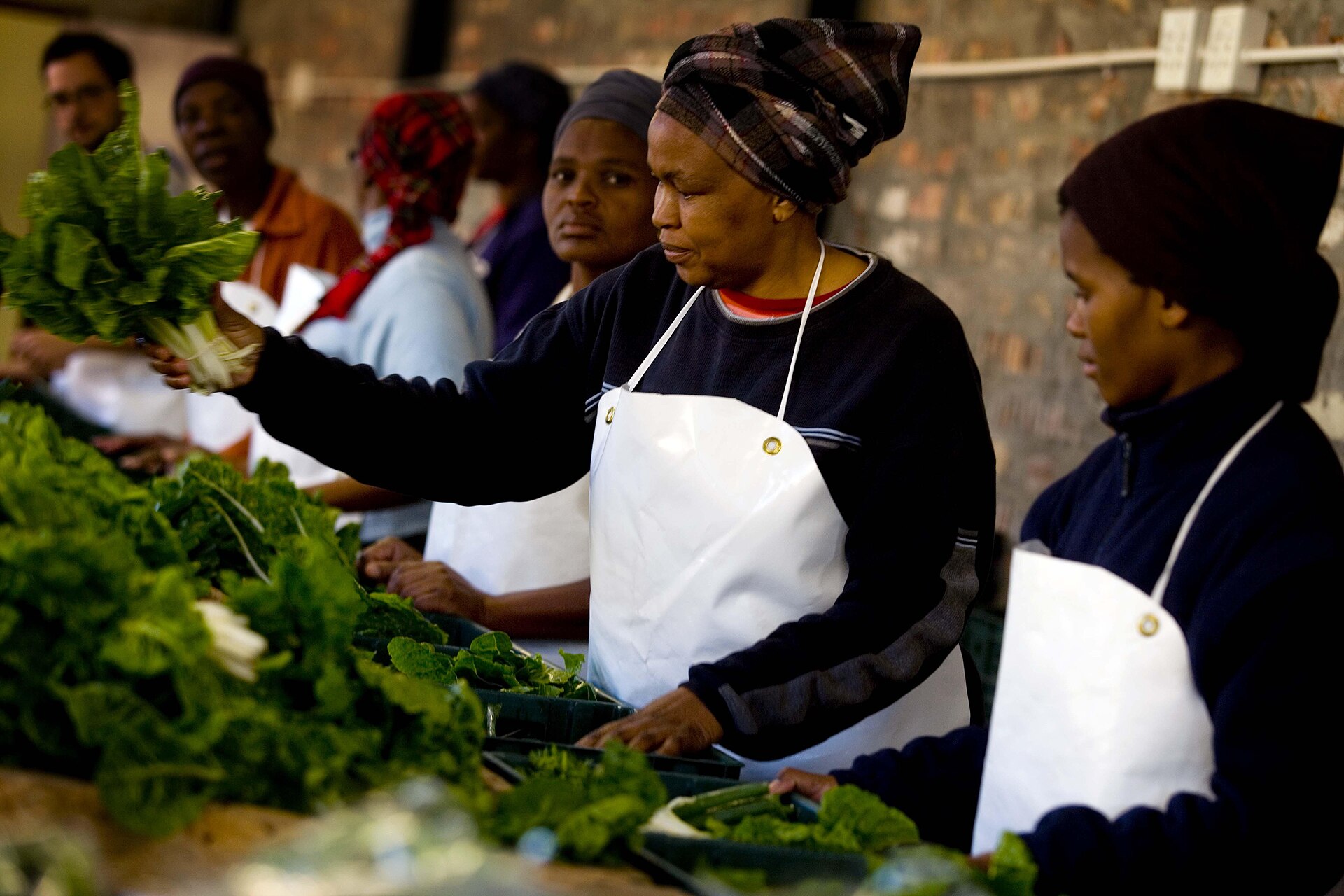 Women pack boxes of vegetables from a community garden in Gugulethu, Cape Town, in 2009.