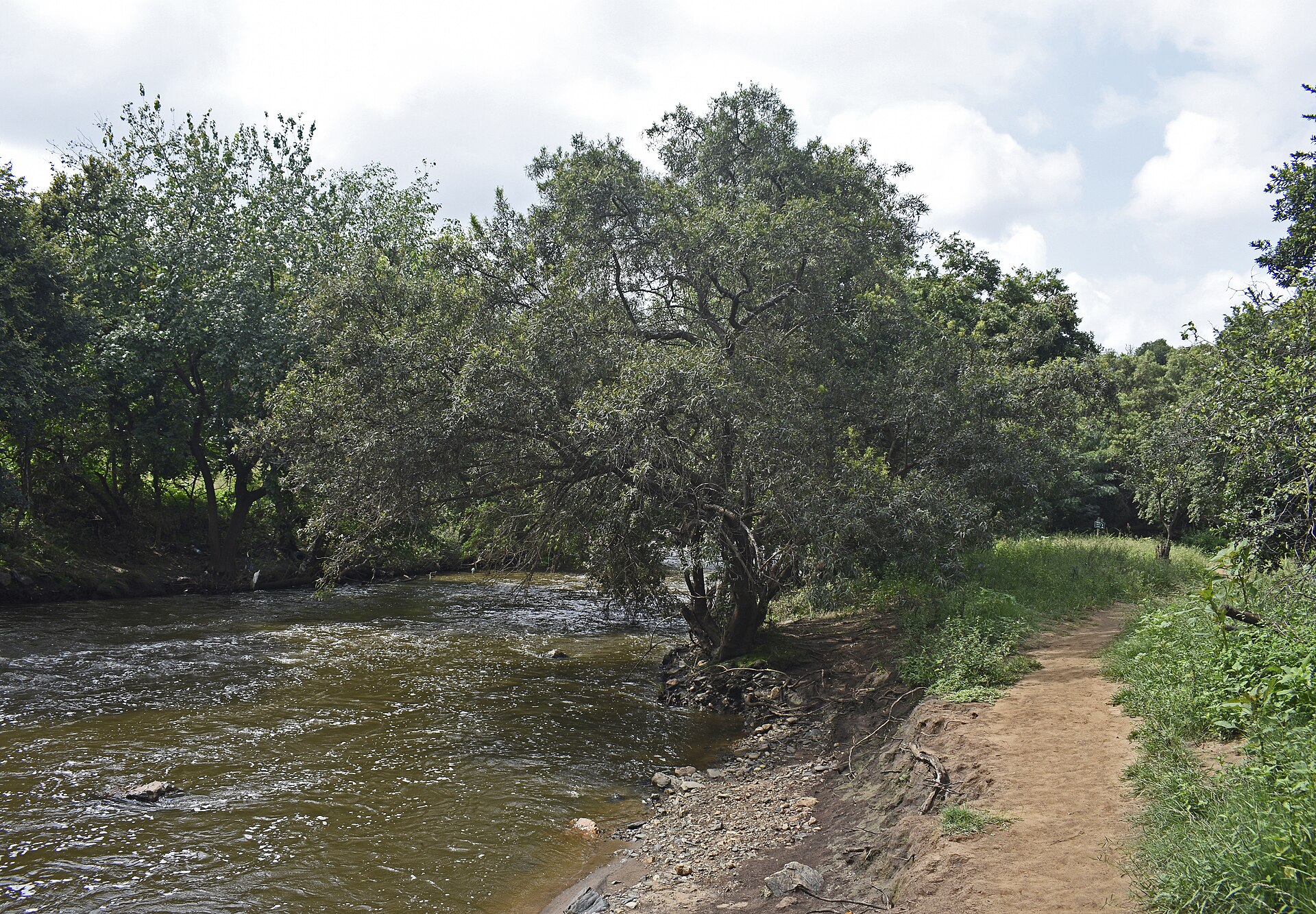 The Hennops River in the City of Tshwane.